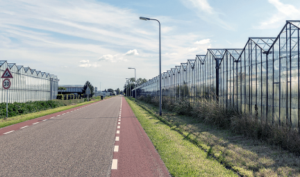Westland-kasten-ontruimers-vergelijken Westland-kasten-ontruimers-vergelijken